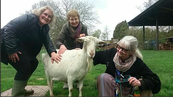 Screen Shot 2018-04-25 at 10.17.25.png